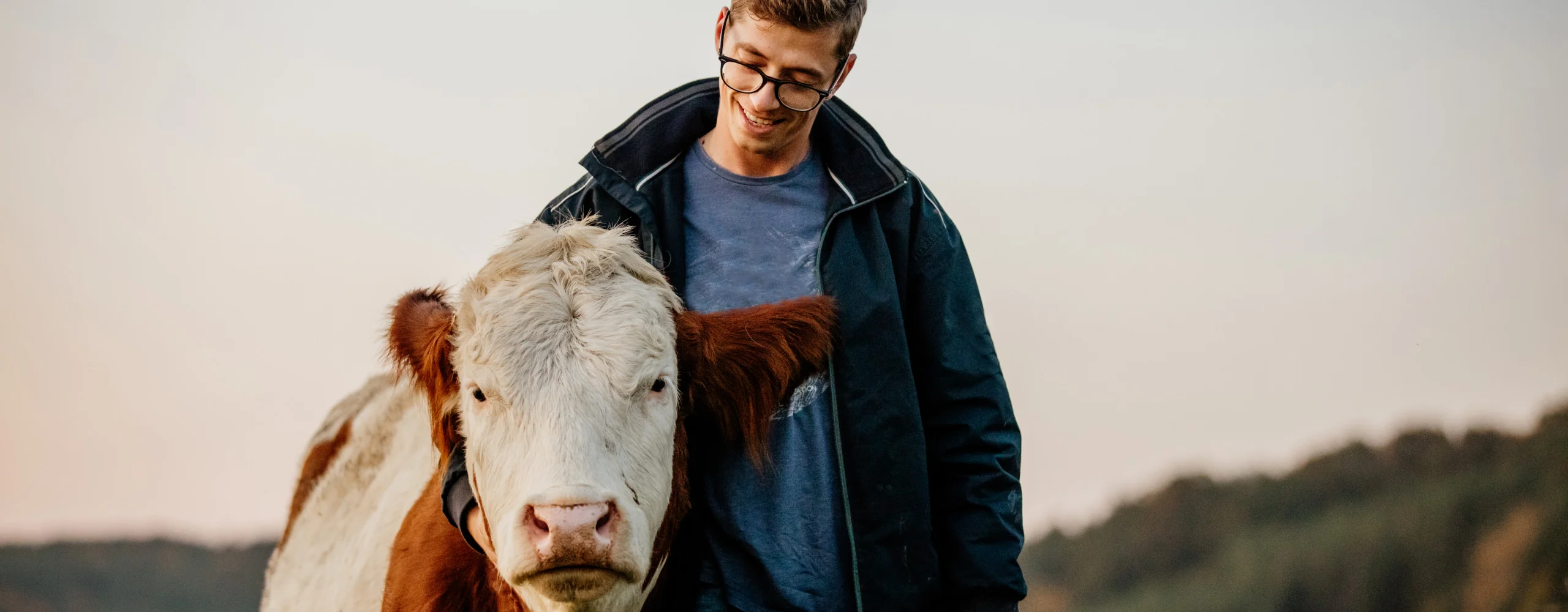 illus-vache-2@2x